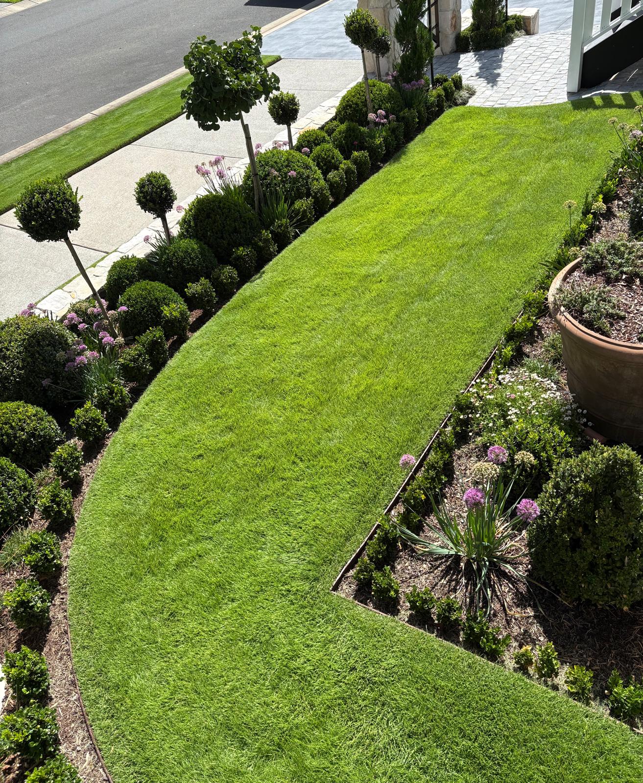 Curved green lawn surrounded by clipped topiary and flowering borders