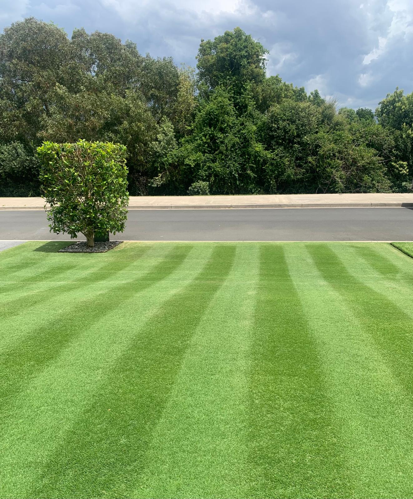 Vivid green lawn with crisp alternating stripes